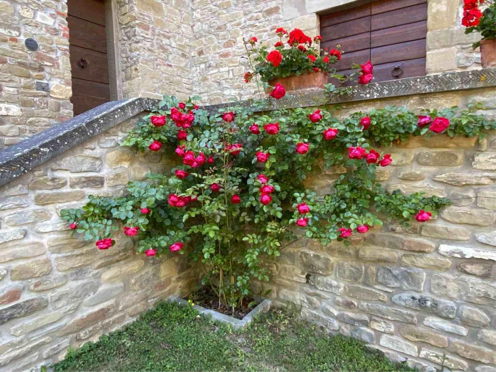 Agriturismo Popolano Di Sotto Марраді Екстер'єр фото